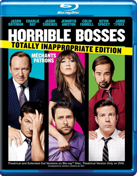 Несносные боссы / Horrible Bosses [EXTENDED] (2011/HDRip)