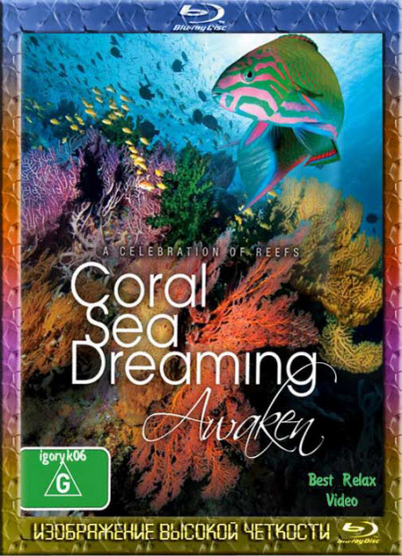 Coral Sea Dreaming. Awaken / Грёзы Кораллового моря. Пробуждение (2010) HDRip