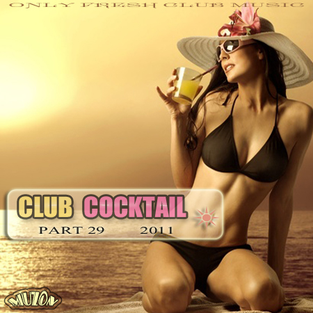 VA - Club Cocktail part 29(2011)